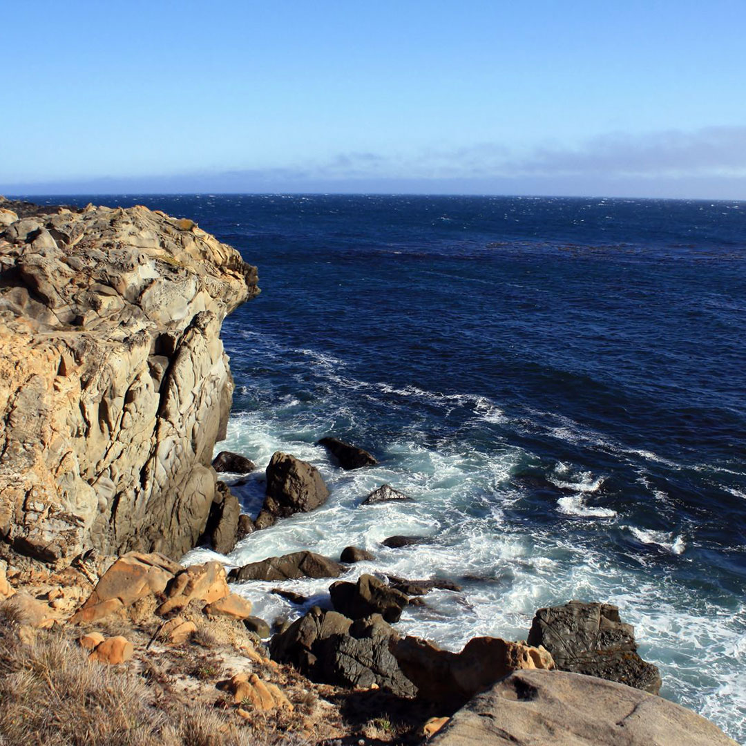 Coastal view from Salt Point State Park. 