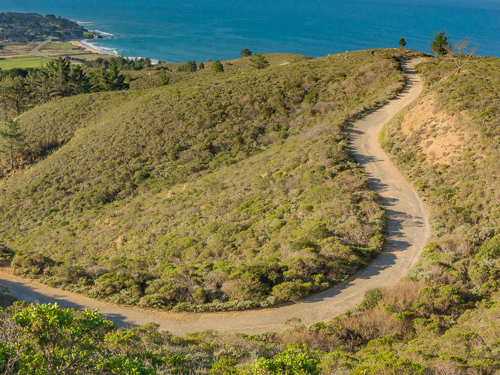 winding dirt trail up a hill on the coast of California