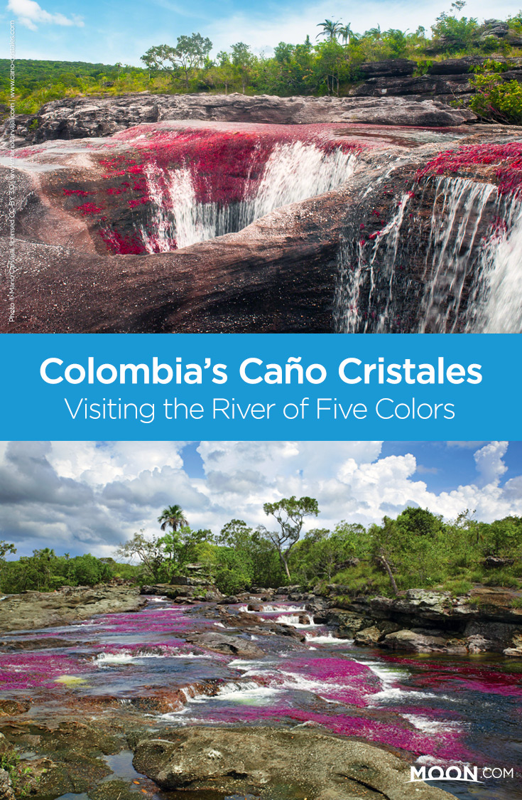 Take a hike to the vibrant "River of Five Colors" in Colombia's Amazon region, and see Caño Cristales in all its glory. Learn about exploring this region in full with this detailed overview of excursions to Los Llanos' Parque Nacional Natural Sierra de la Macarena.