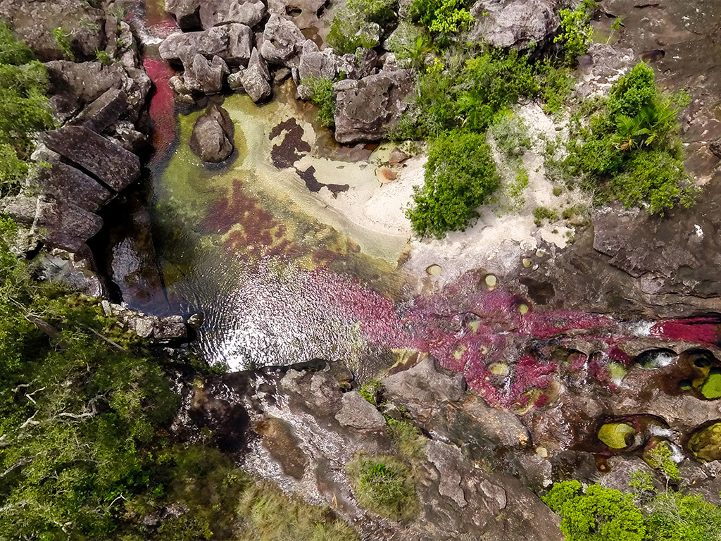 aerial shot of Cano Cristales in Colombia showing vibrant colors in the water