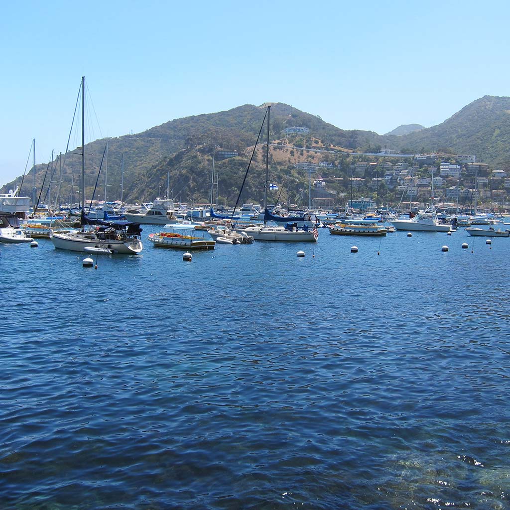 Catalina Island Harbor, featuring blue water, docked boats, and hills in the background