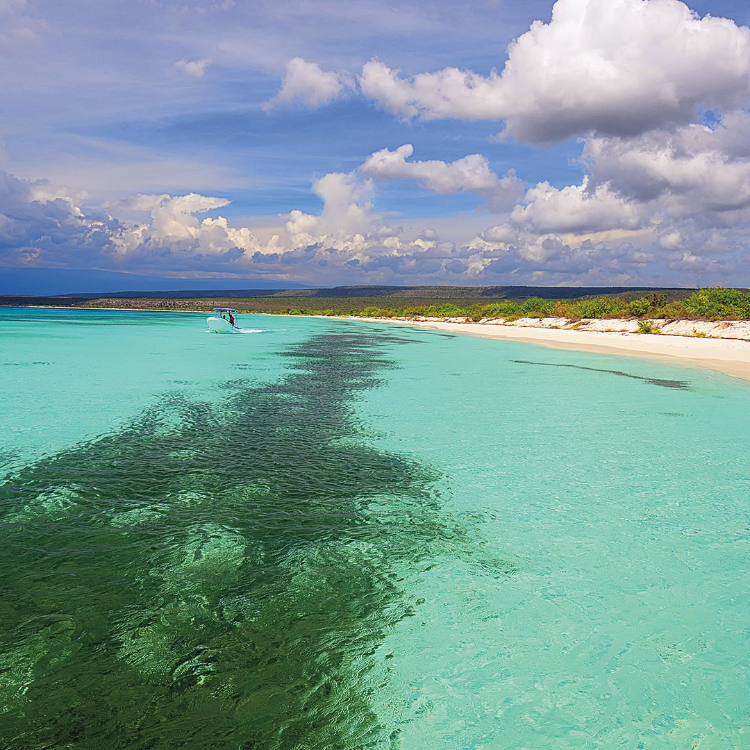 Clear aqua water of the bay at Bahia de las Águilas