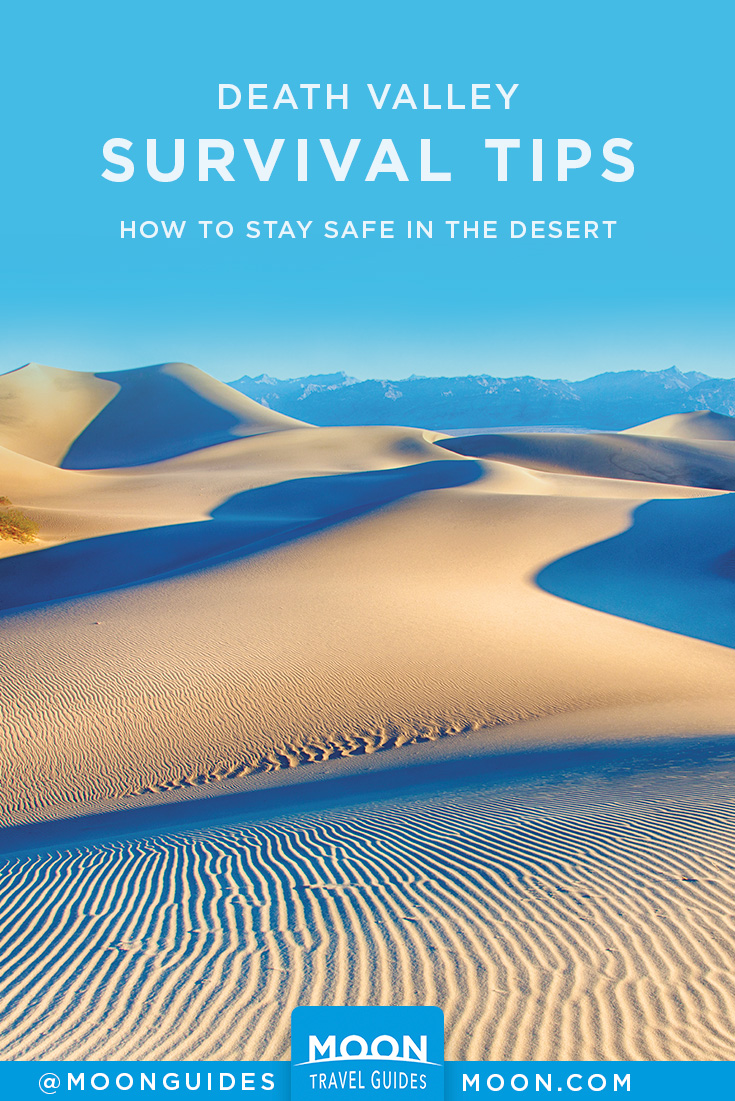 Desert Survival Tips Pinterest graphic