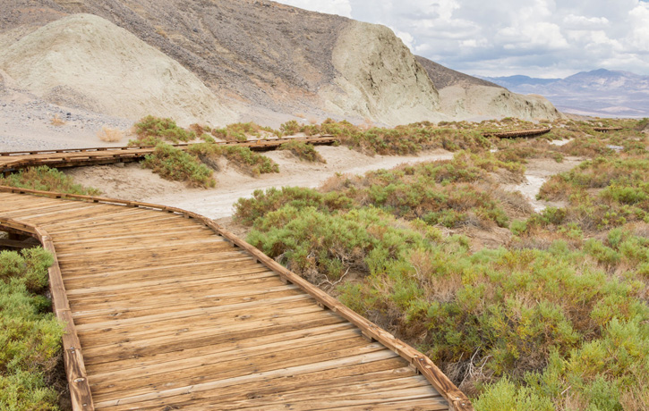 A weathered, wheelchair-accessible boardwalk in Death Valley