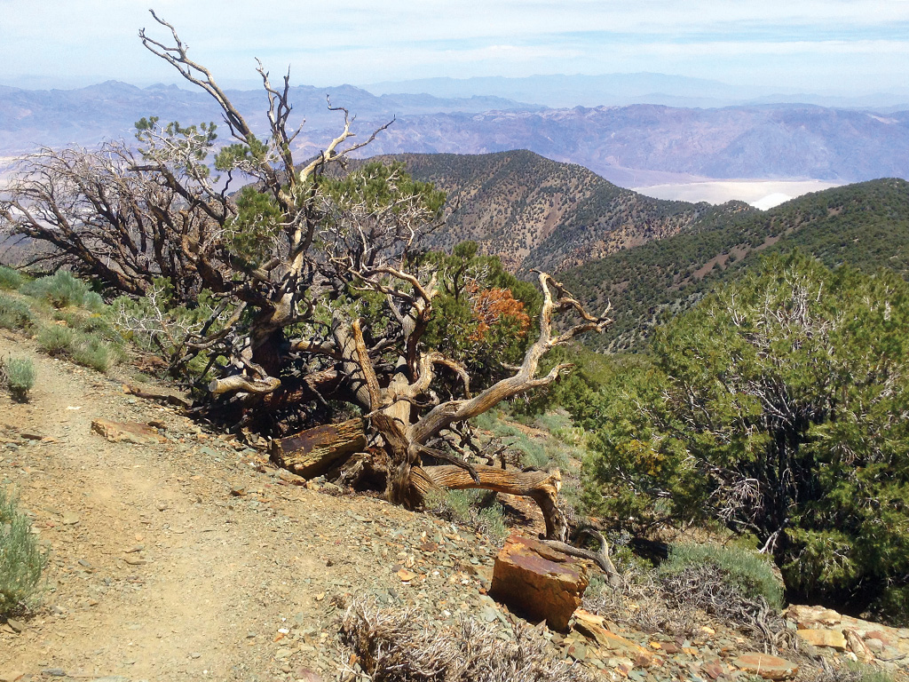 hiking trail leading to panoramic views of Death Valley