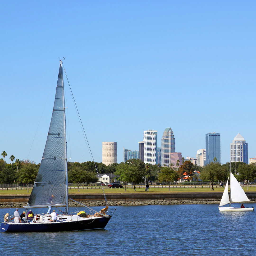 sailboats on Tampa Bay with the skyline in the background