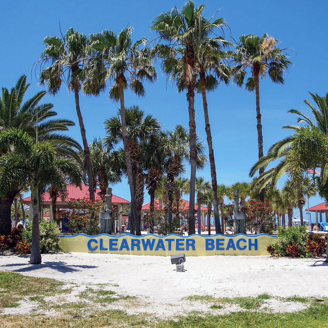 sign among palm trees at Clearwater Beach in Tampa