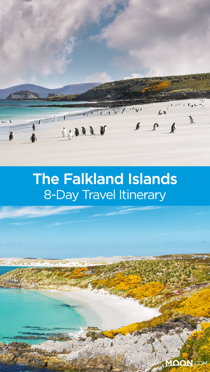 There's only one flight a week to and from the Falkland Islands, but this remote and beautiful Patagonian destination is worth including in your travel itinerary. Here's how to make the most of your week.