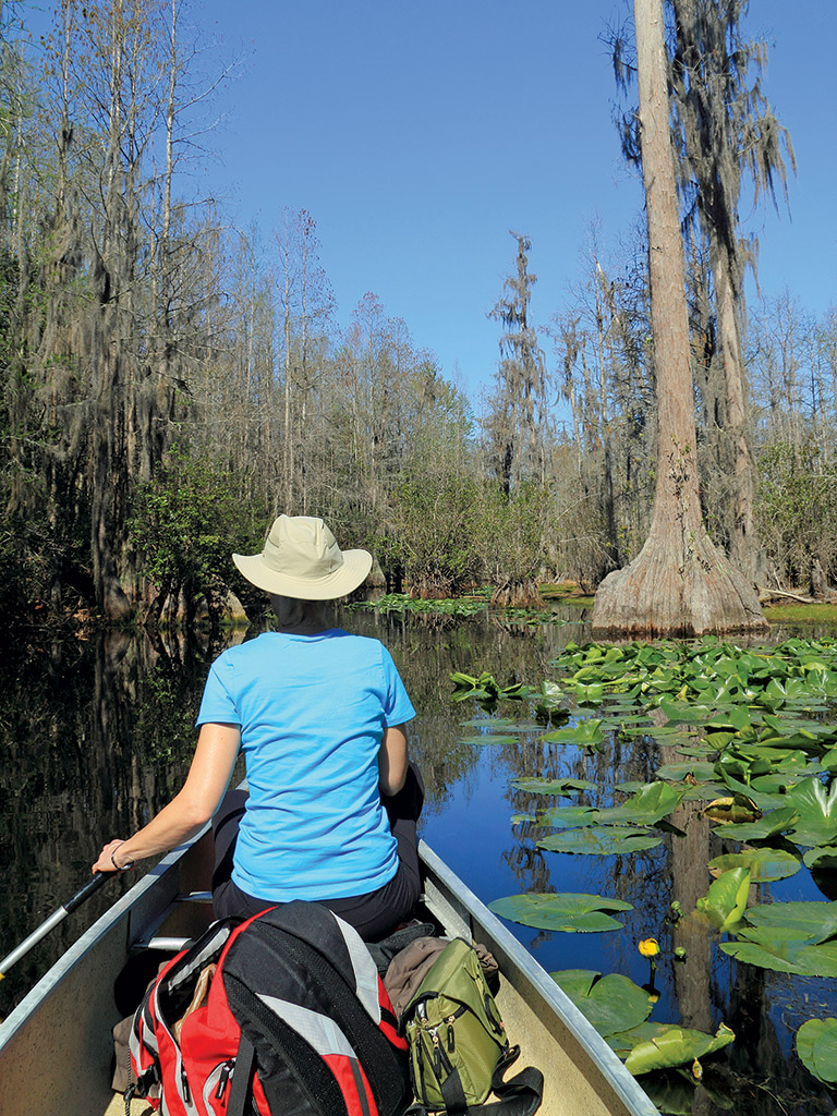 woman sitting in a canoe in Okefenokee Swamp