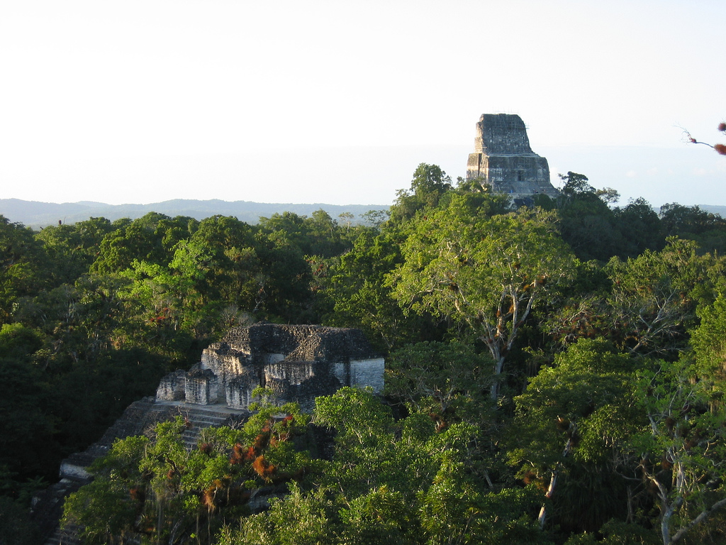 View of temple ruins rising up amongst dense trees.