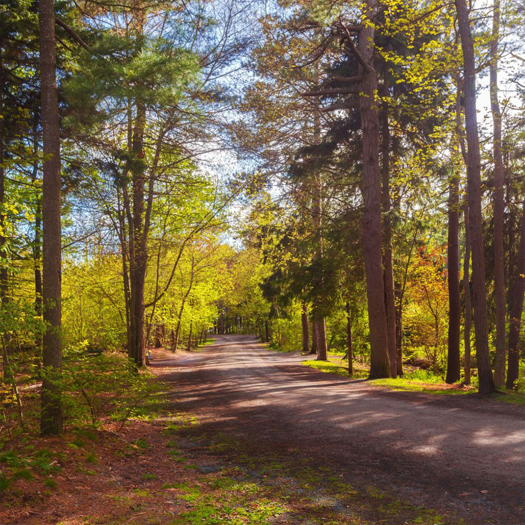 Point Pleasant Park is laced with hiking and biking trails.