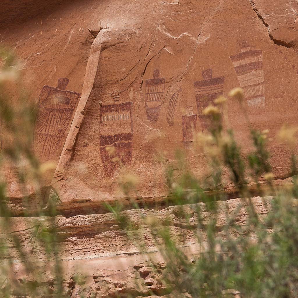 Tall grass is blurred in the foreground, in focus in the back is a dirt/clay wall with prehistoric carvings