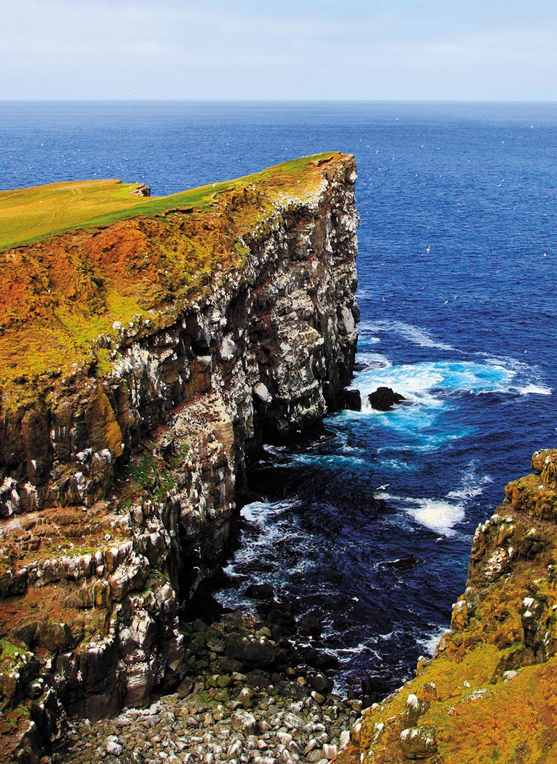 The cliffs of Grímsey.
