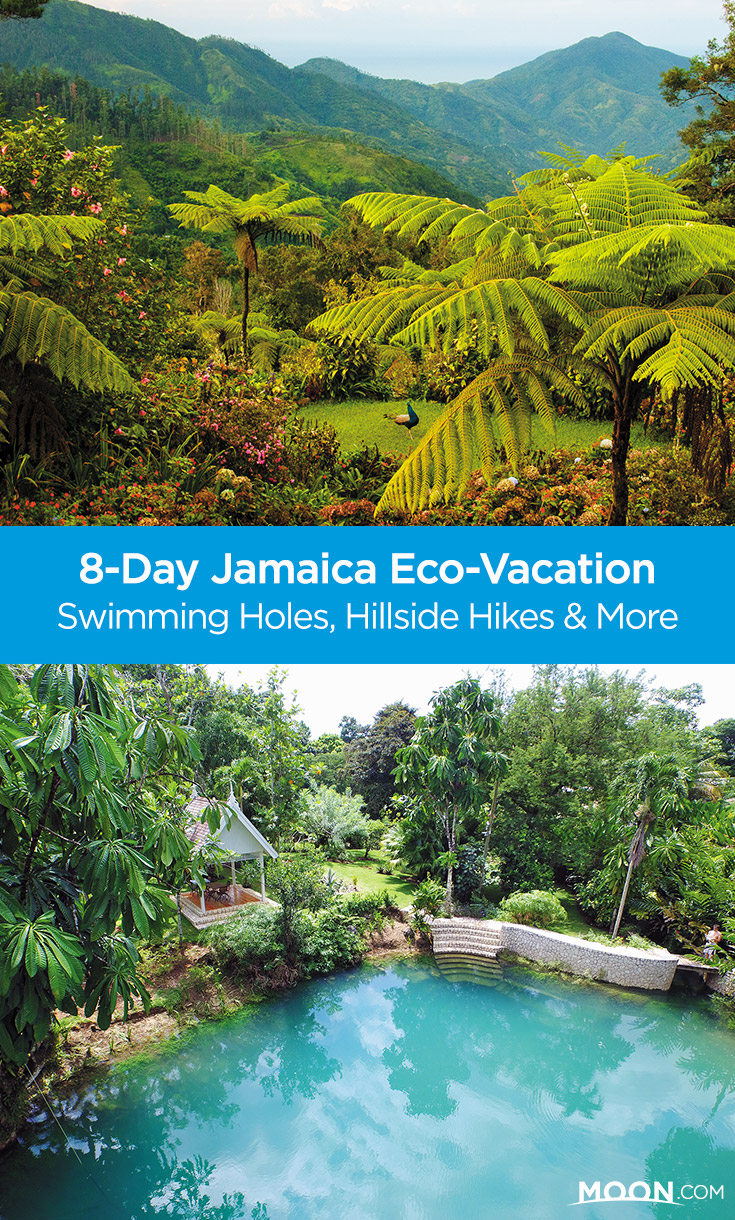 Spend 8 days in nature, exploring Jamaica with hillside hikes, birdwatching, secluded beaches and swimming holes, and mangrove tours.