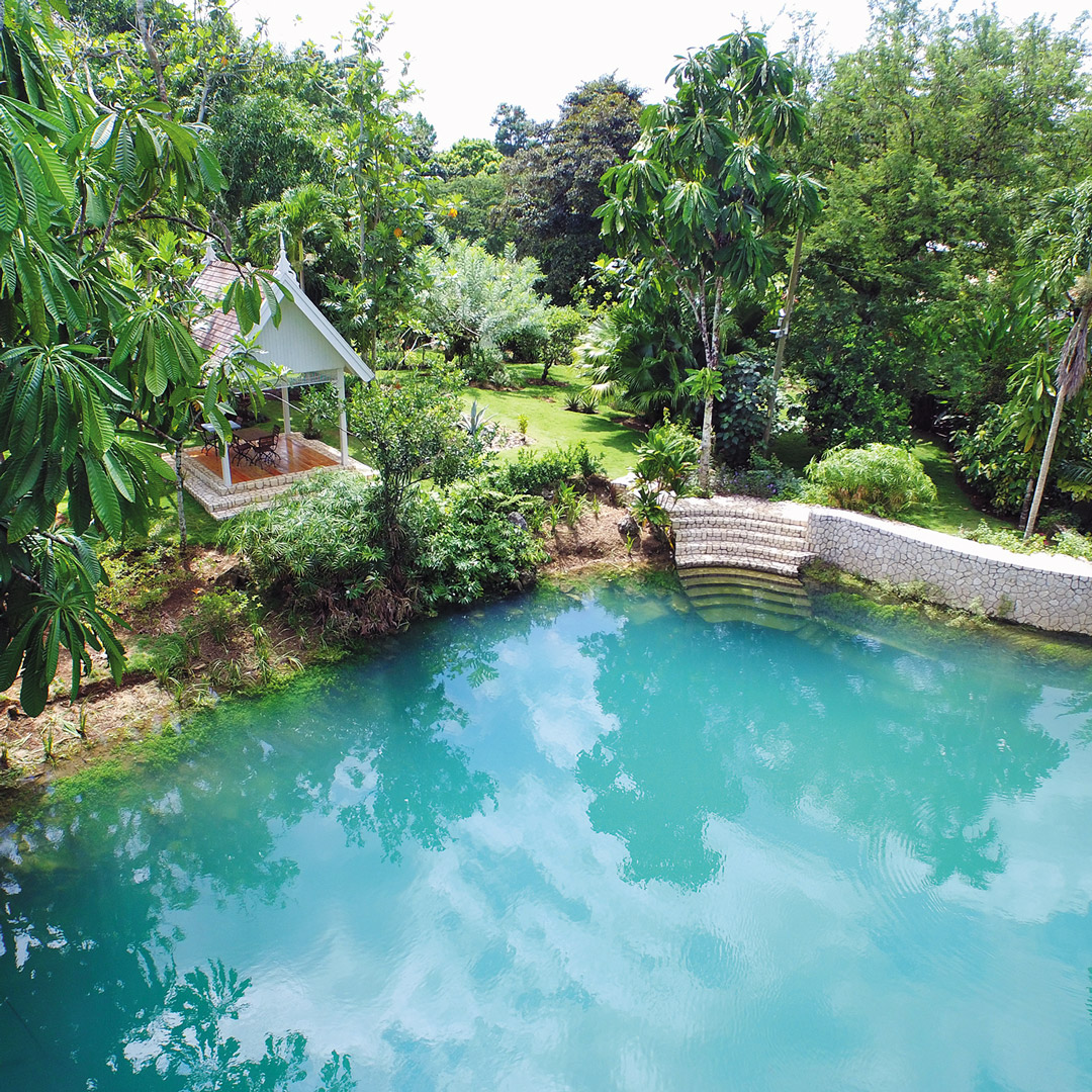 clear pool of water among lush green gardens in Jamaica