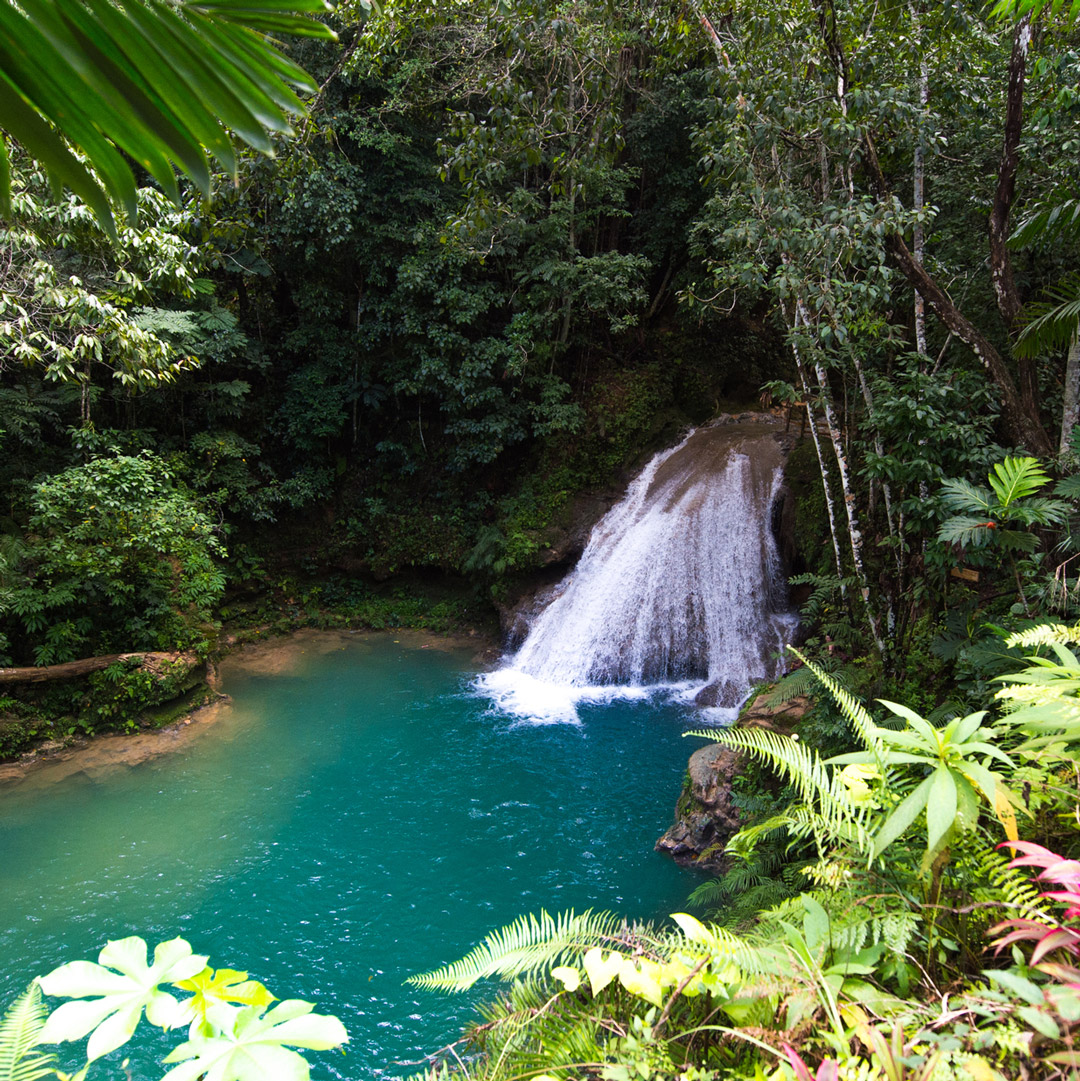 waterfall pouring into a swimming hole surrounded by lush forest in Jamaica