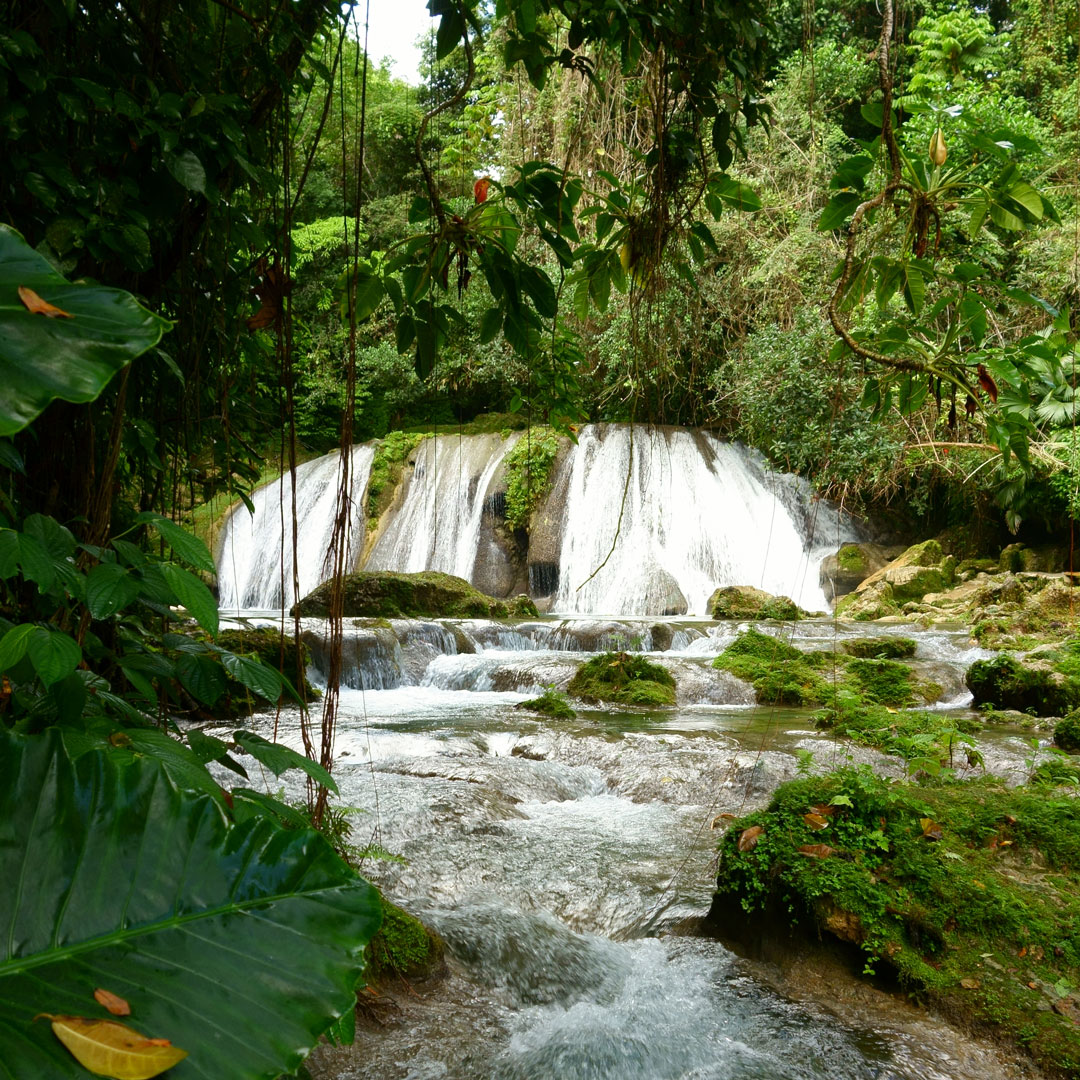 bountiful waterfall flowing into a river surrounded by rainforest in Jamaica