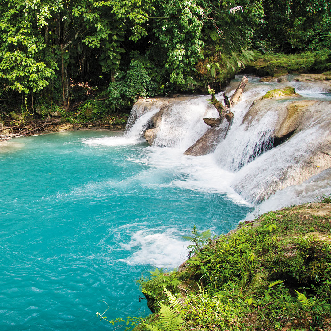 rapids of the White River in Jamaica