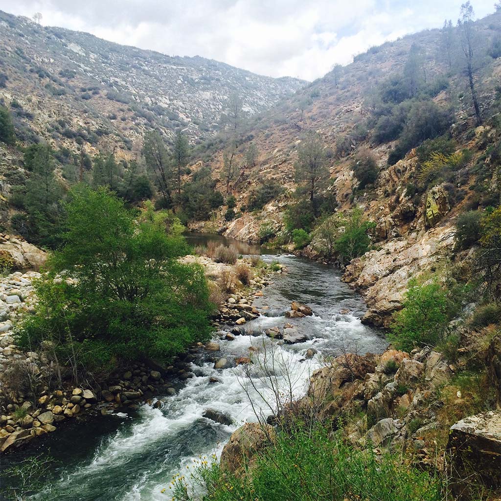 A section of the river as it flows through Sequoia National Forest