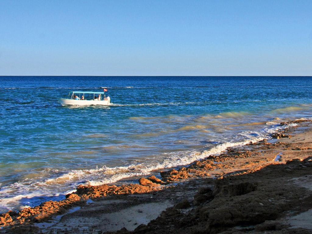 diving tour boat on the ocean in Cabo Pulmo