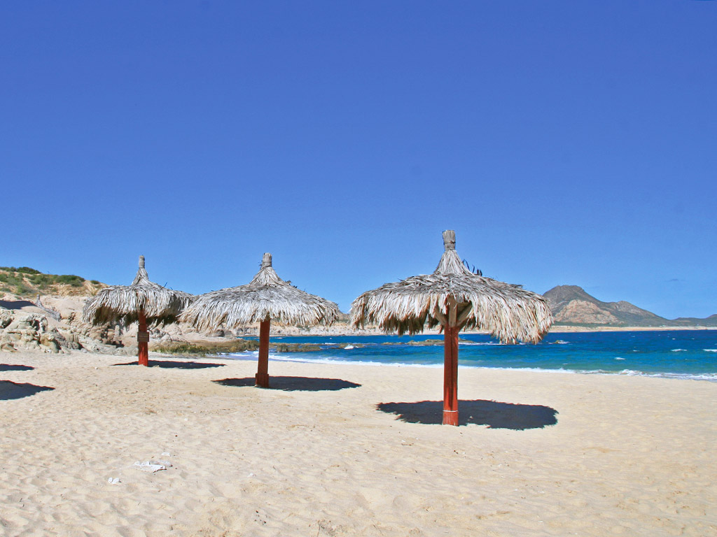 palapas on the beach at Los Arbolitos in Cabo Pulmo