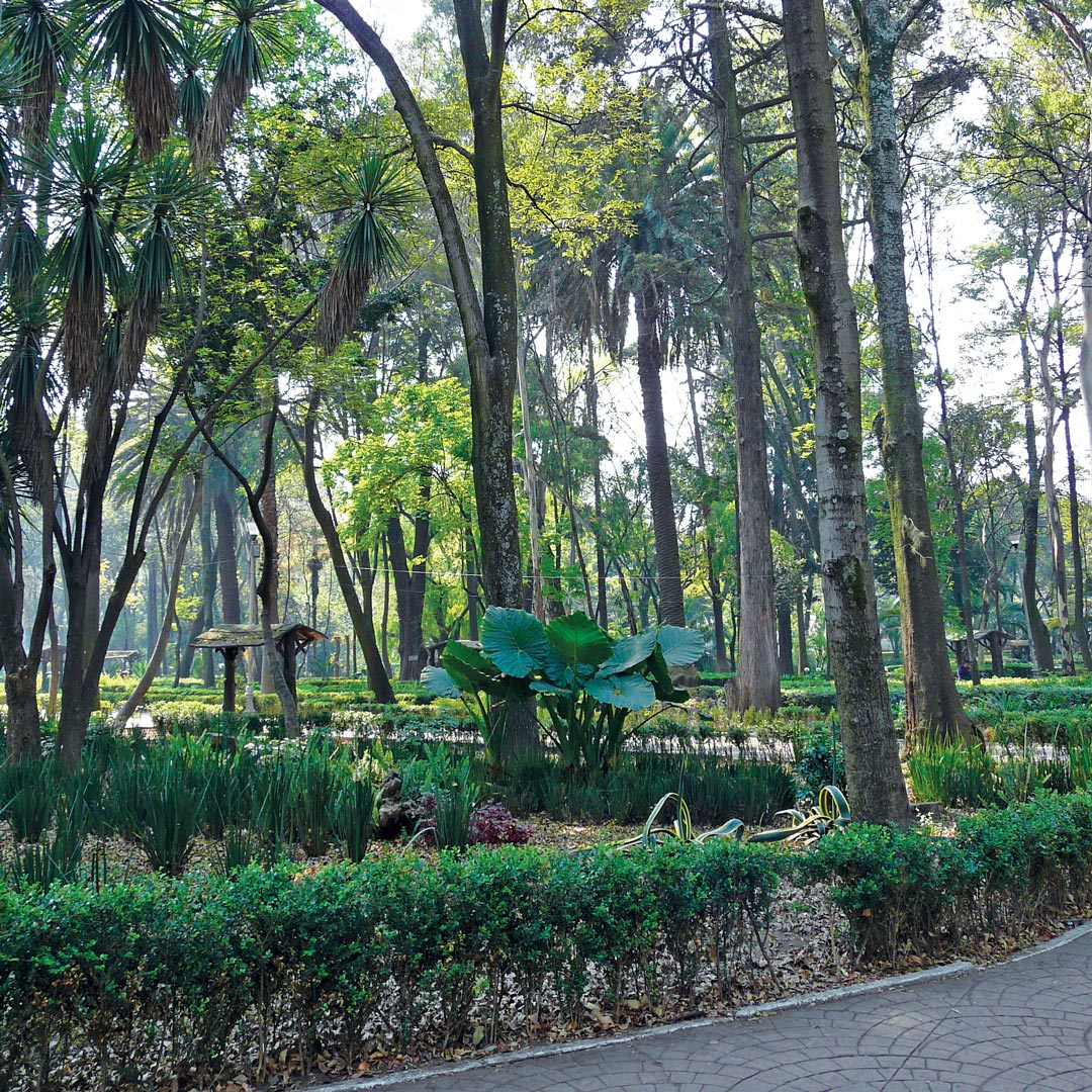 city park full of trees and greenery