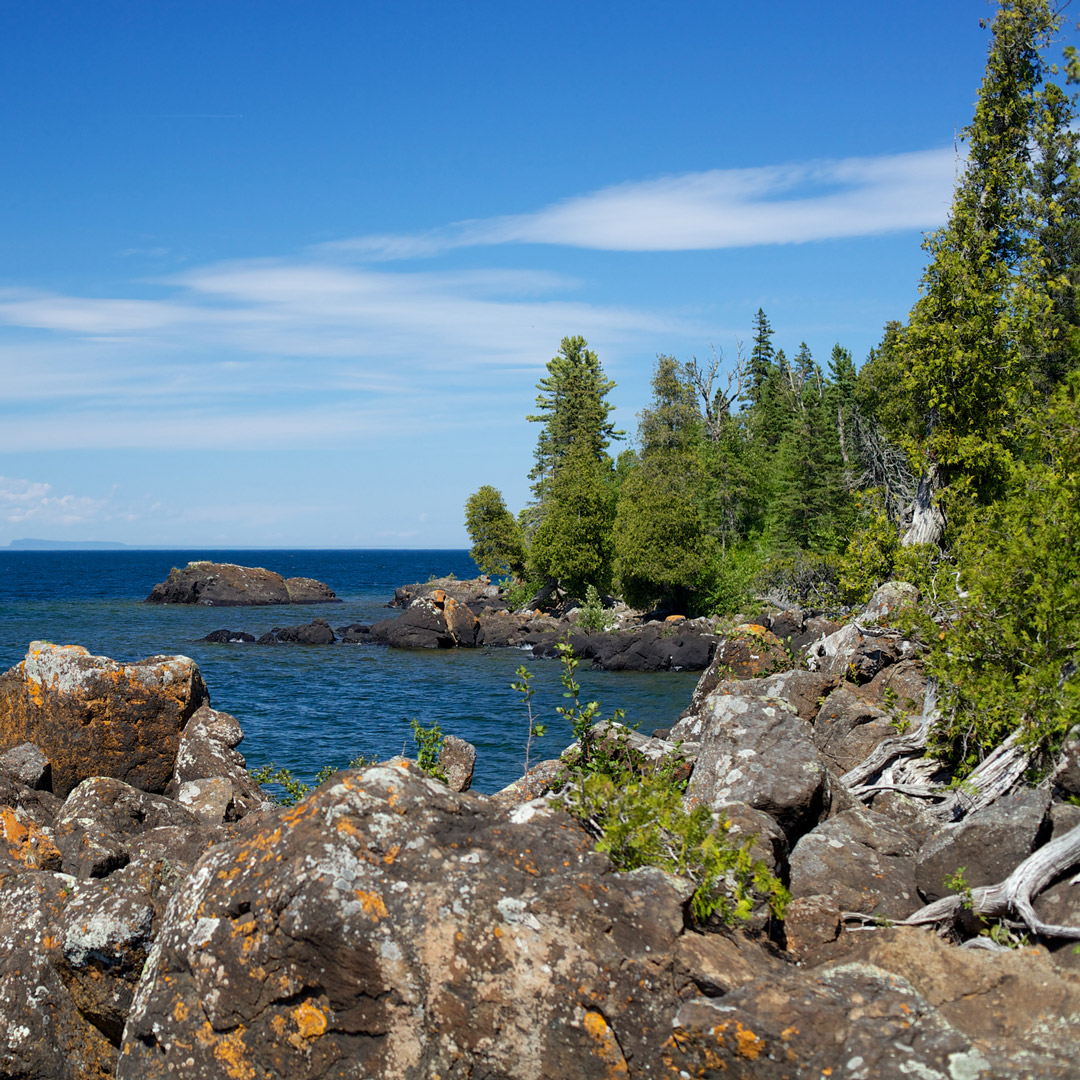 trees on a rocky coastline in Isle Royale National Park