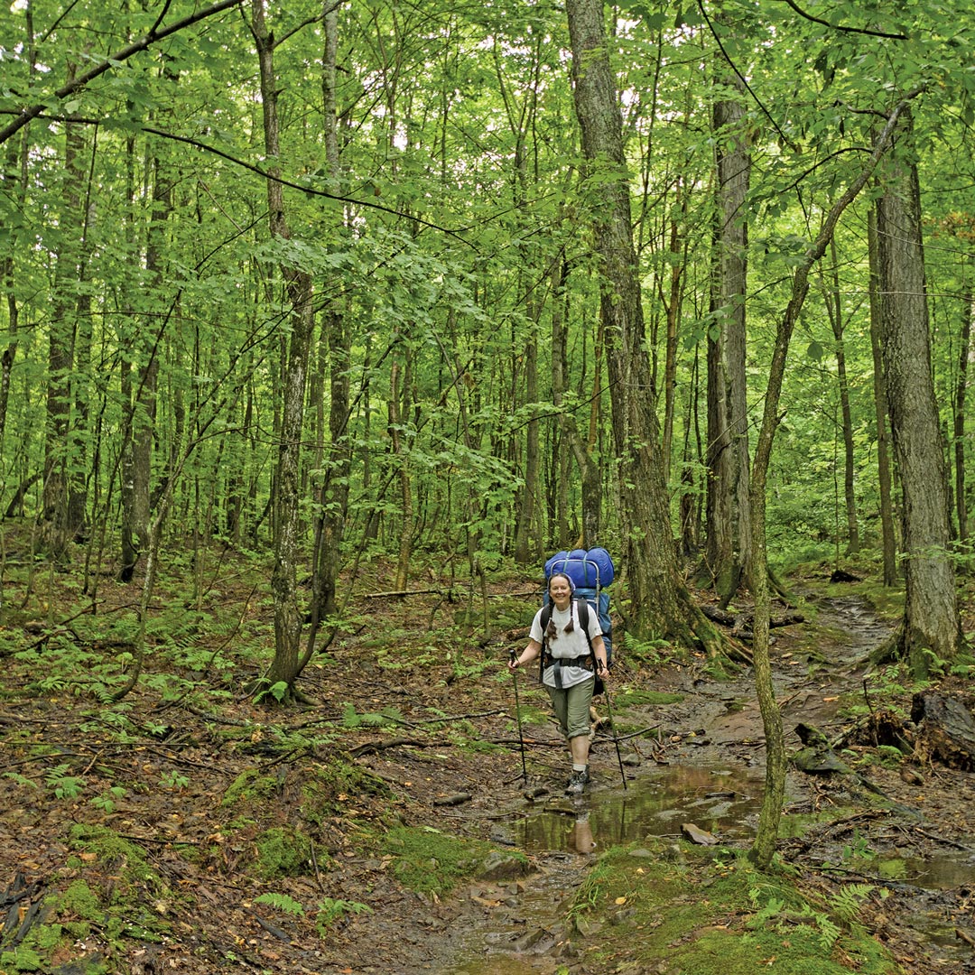 female hiker in a forest in Michigan