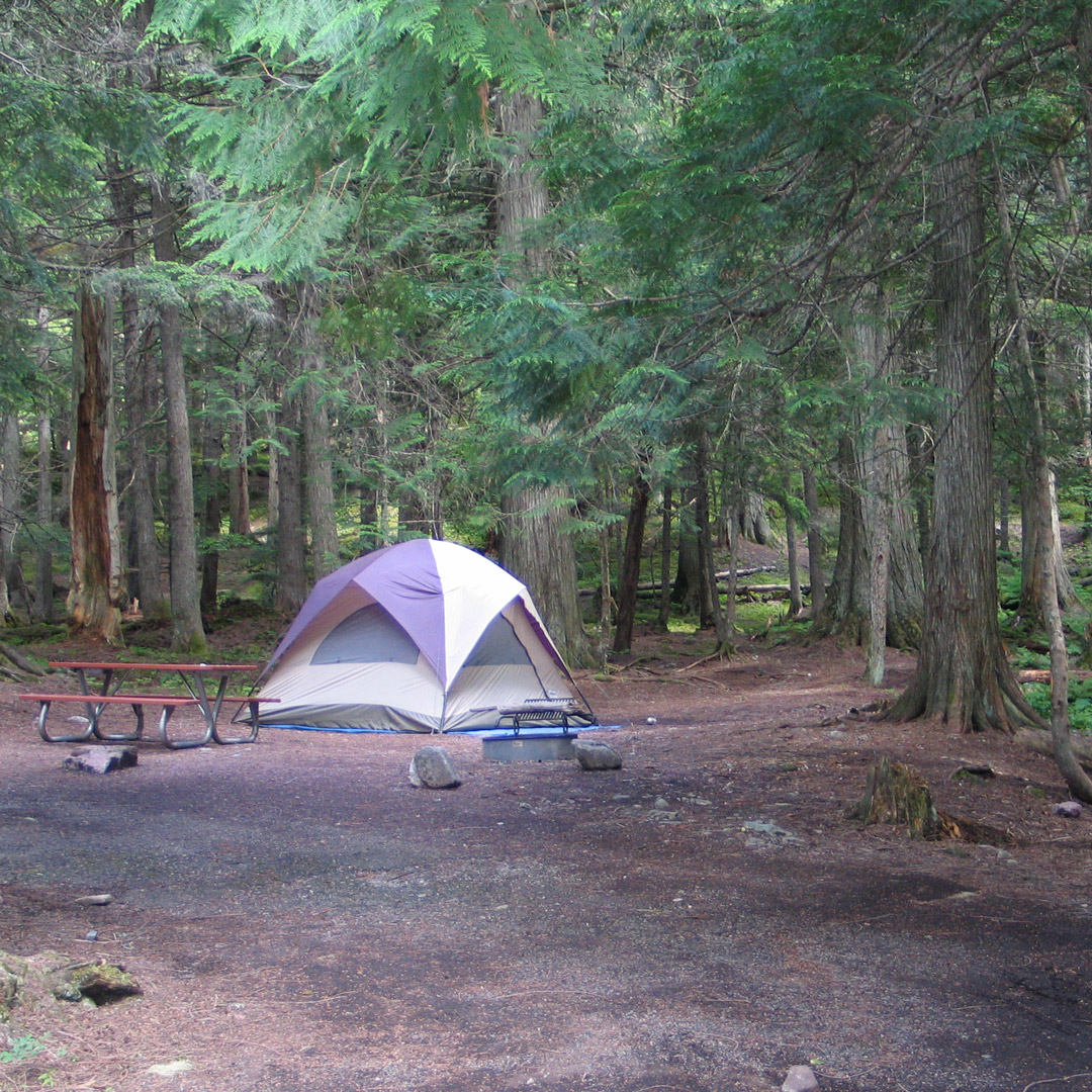 single tent next to a picnic table in the woods