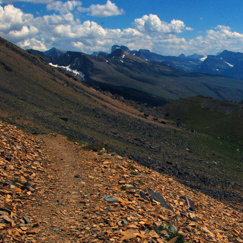 Highline Trail in Glacier's Fifty Mountain region. 