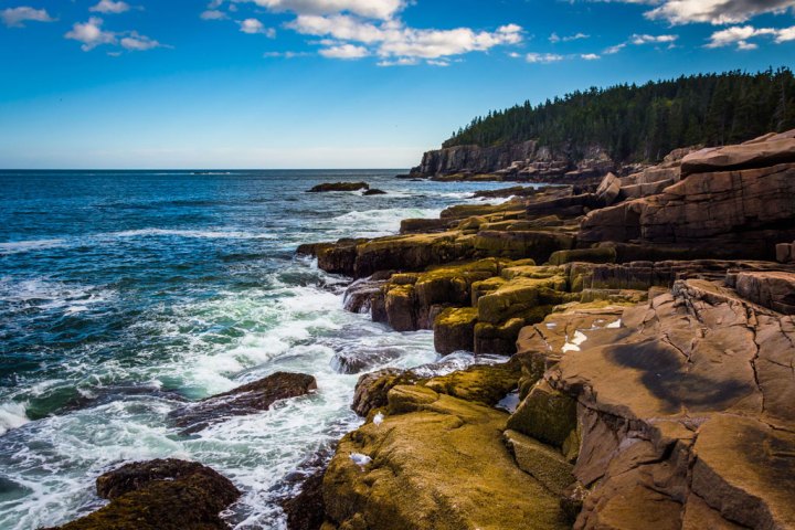 One Day in Acadia National Park
