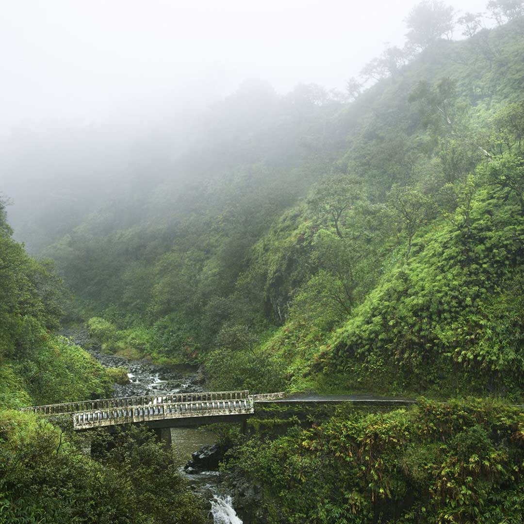 A bridge in the mist of Hana.
