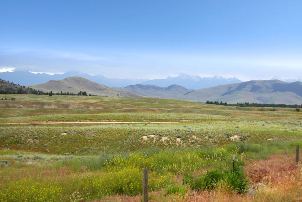 pastures in montana