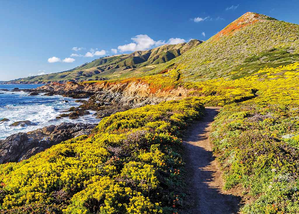 trail along the coast of california in big sur