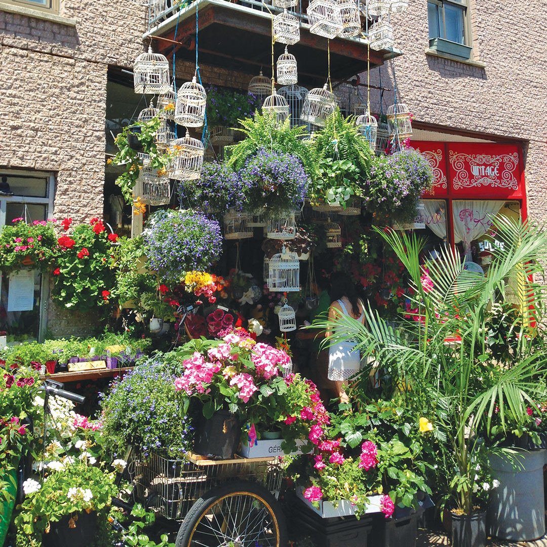 plants and flowers display in front of a brick building