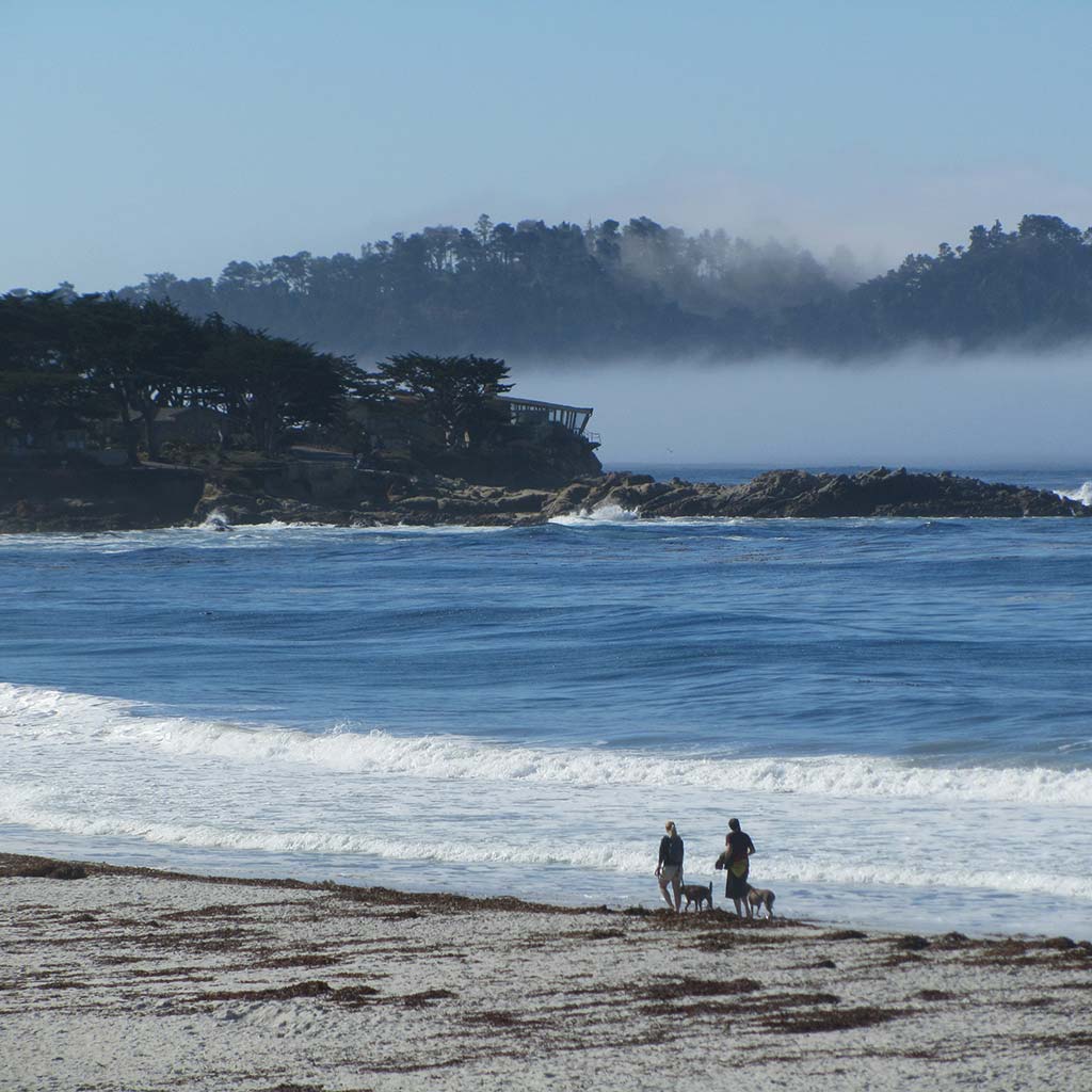 Shot of the beach, where two people and their dogs stroll next to the shoreline. Fog and hills in the background a bit across the water.