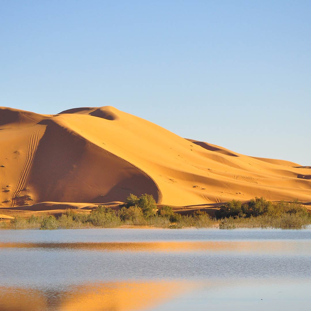 The seasonal lake of Erg Chabbi is surrounded by sand in the Sahara Desert, Morocco.