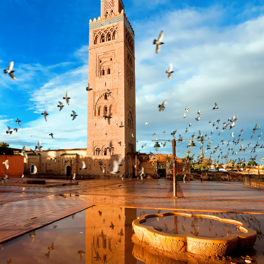 birds flock around the Koutoubia Mosque in Morocco Marrakesh