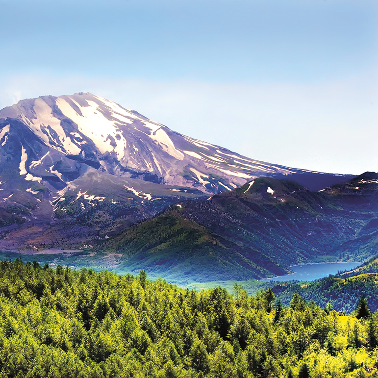 View overlooking Mount Saint Helens, with trees in the foreground followed by a river and the mountain range