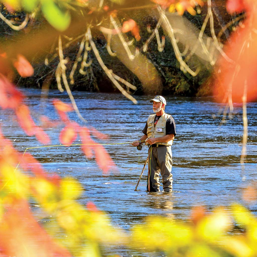 A fly-fisher in the Tuckasegee River with fall foliage around.
