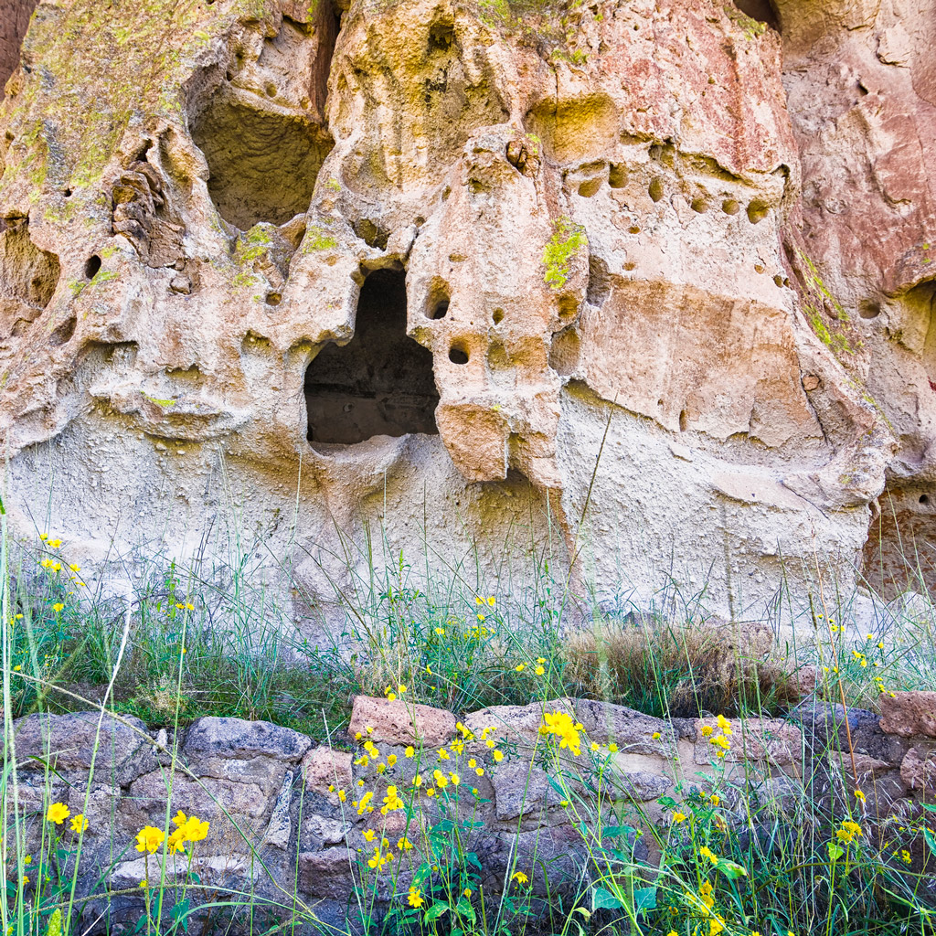 wildflowers in front of the opening to cave dwellings