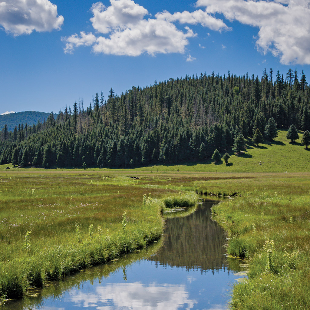 a stream leads to a mountain in Valles Caldera