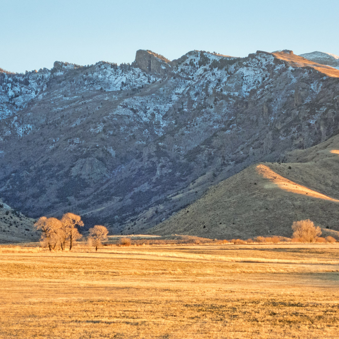 a golden plain lies beneath the shadow of the Ruby Mountains