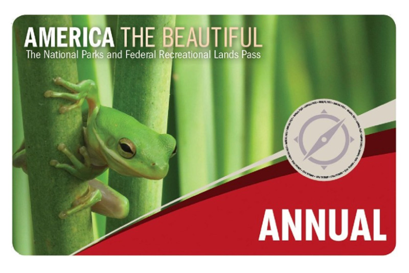 america the bueatiful national parks pass with a frog on it