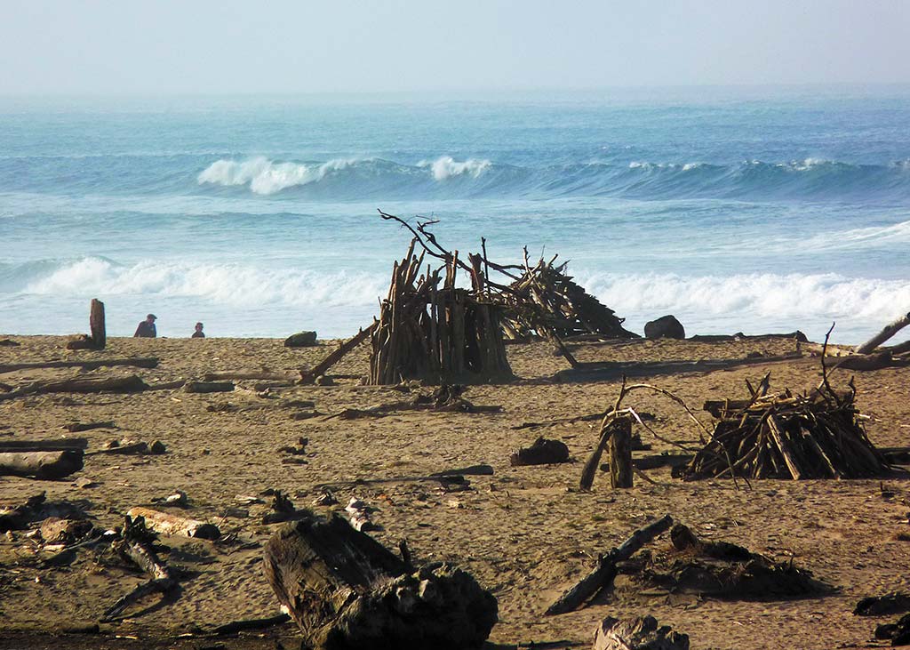 Driftwood structures on San Gregorio State beach. Photo © Elizabeth Linhart Veneman