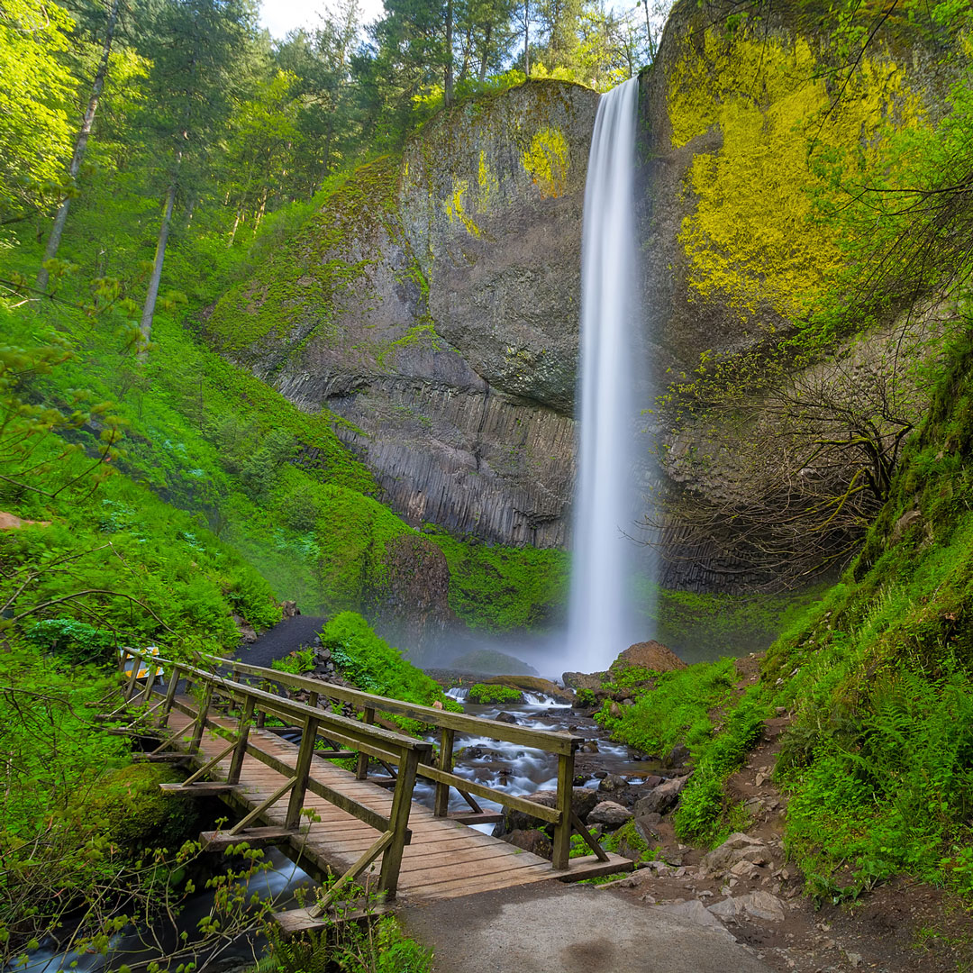 a wooden walkway leads to a waterfall in the Columbia River Gorge