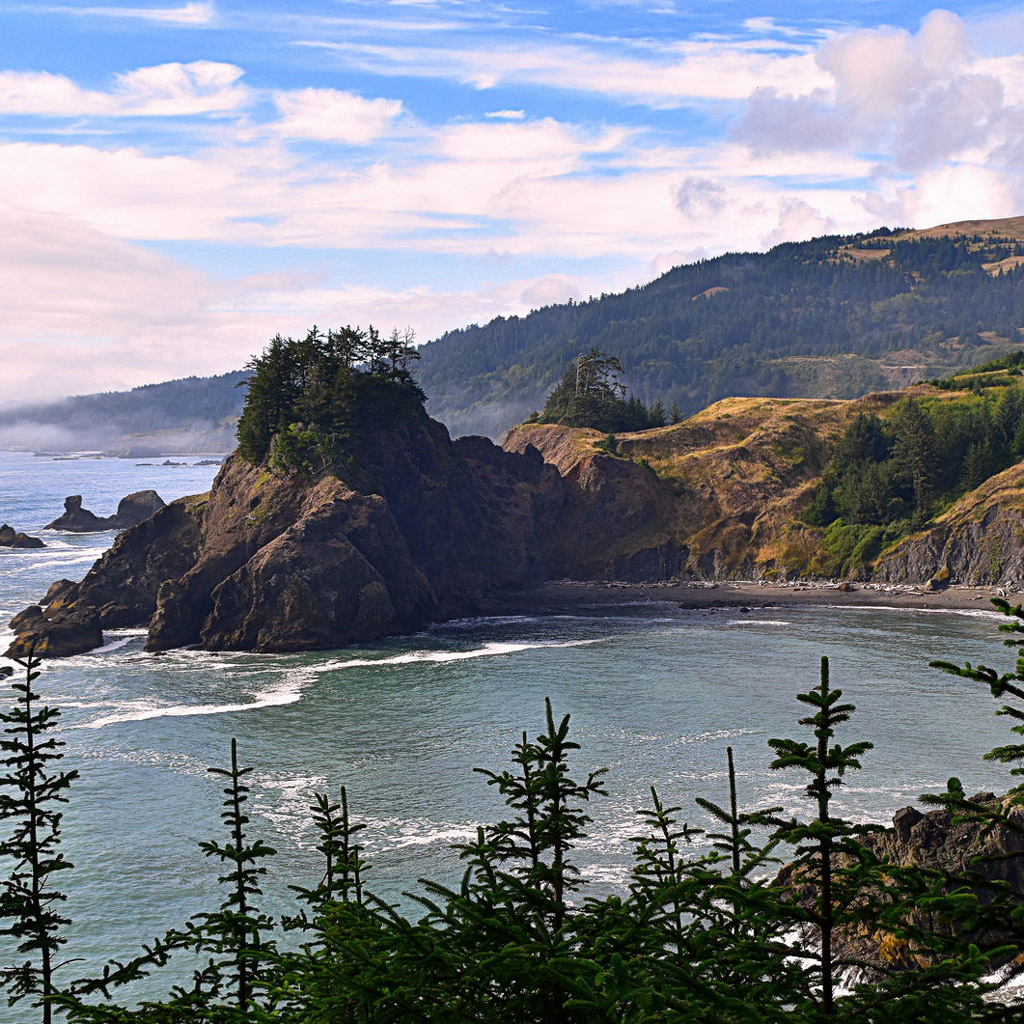 ocean waves on the coast of Oregon