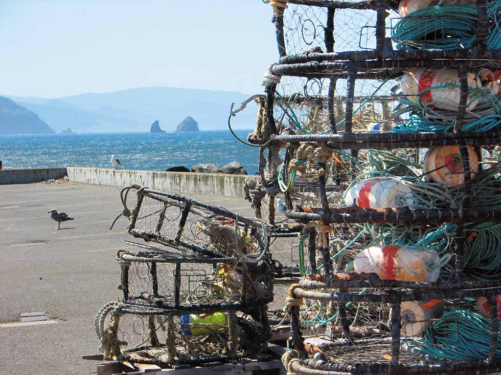 Rent some crab traps and catch your own dinner in Bandon. Photo © Judy Jewell.