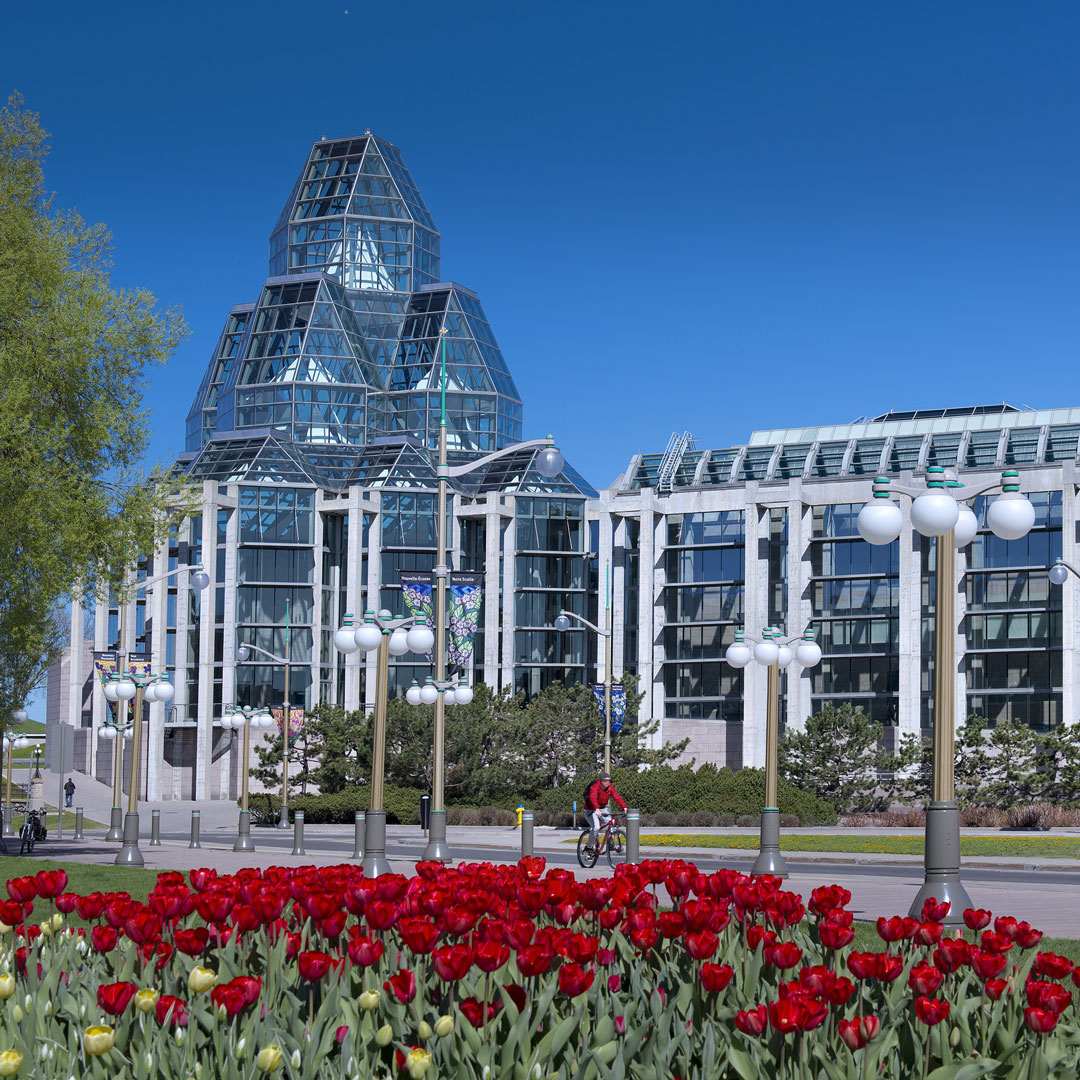 tulips blooming in front of the National Gallery of Canada