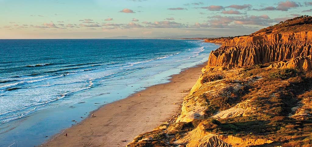 Torrey Pines State Reserve. Photo © Chad McDermott/The Department of Creativity. 